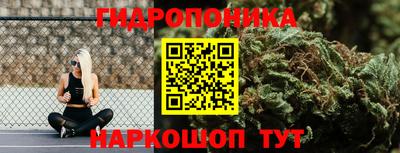 спиды Лесосибирск