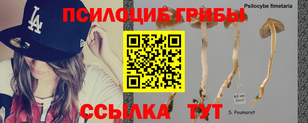 Галлюциногенные грибы мицелий Кисловодск